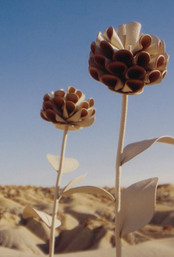 Polène – Fleurs de cuir